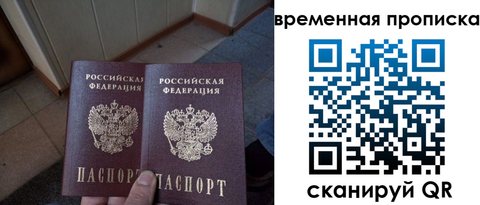 прописка поиск в Алексине
